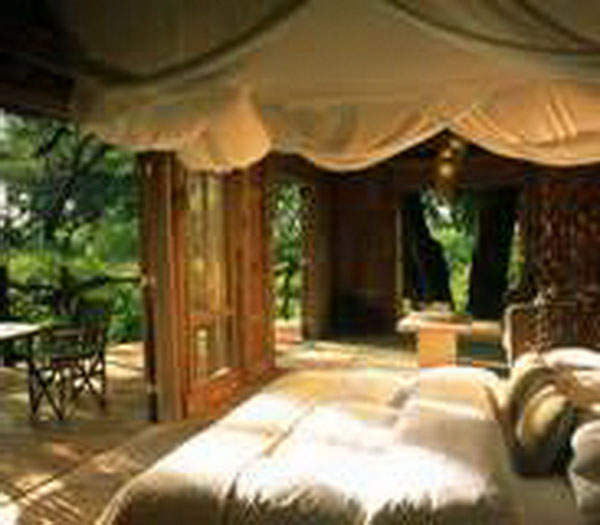 African Safari Lake Manyara Tree Lodge Tanzania 3