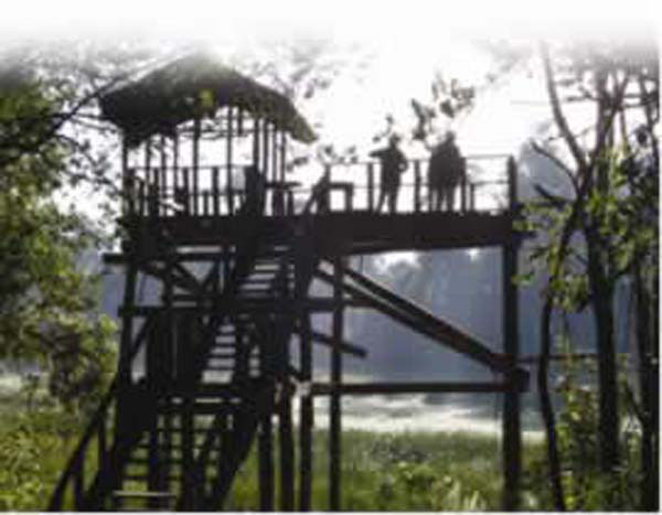 Saiwa Swamp National Park